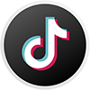 TikTok Icon